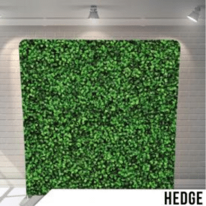 Hedge