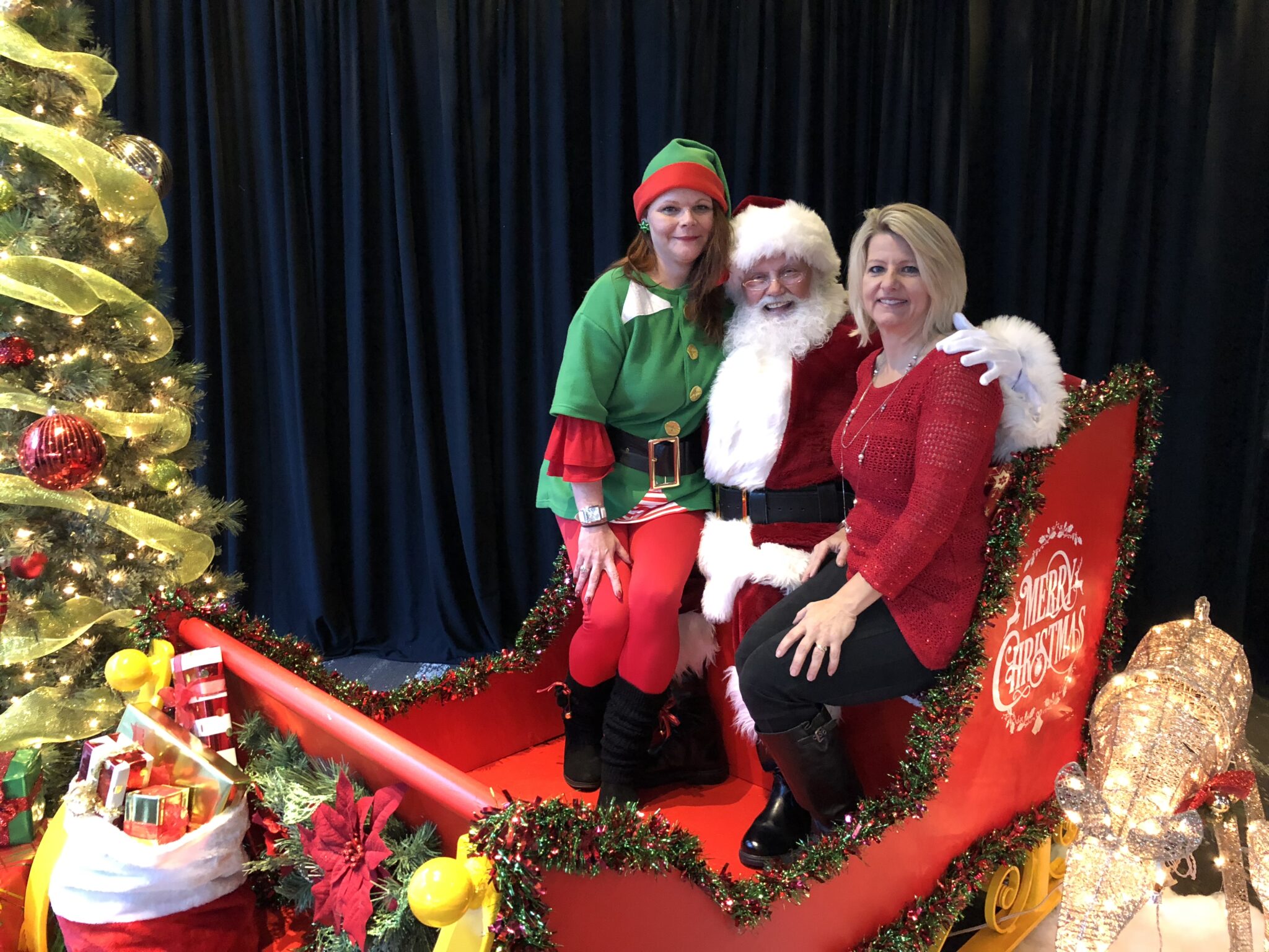 Photos with Santa on his Sleigh